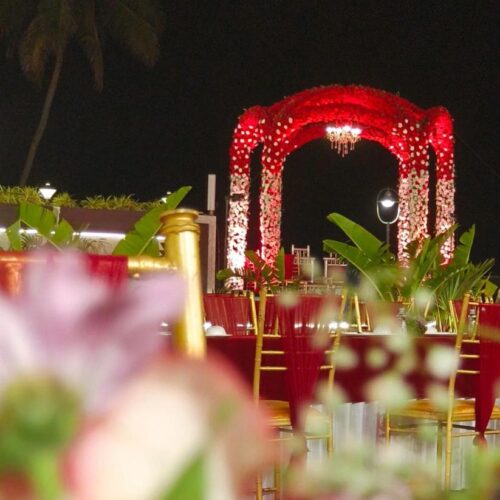 WhatsApp Image 2026-02-11 at 10.33.12