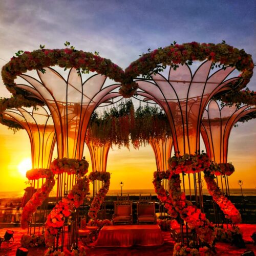 WhatsApp Image 2026-02-11 at 10.33.13